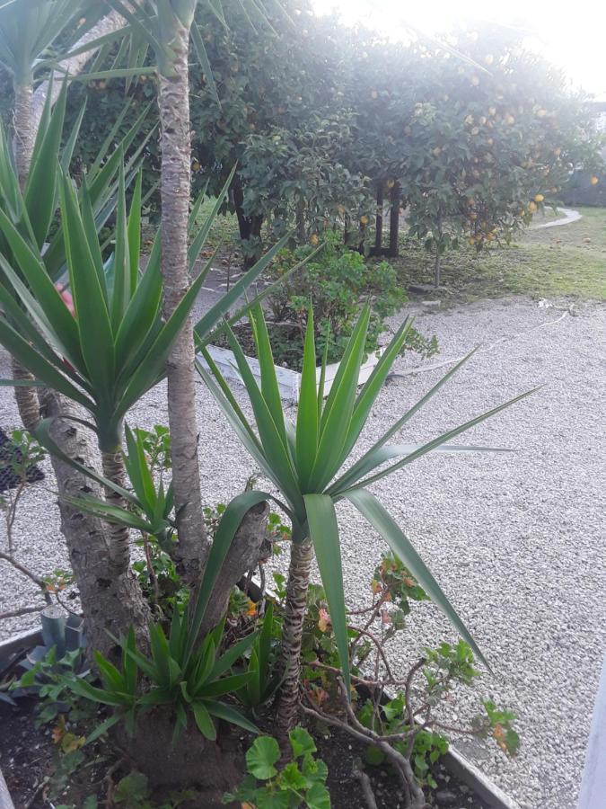 توري أنونزياتا Garden Green Da Virna المظهر الخارجي الصورة