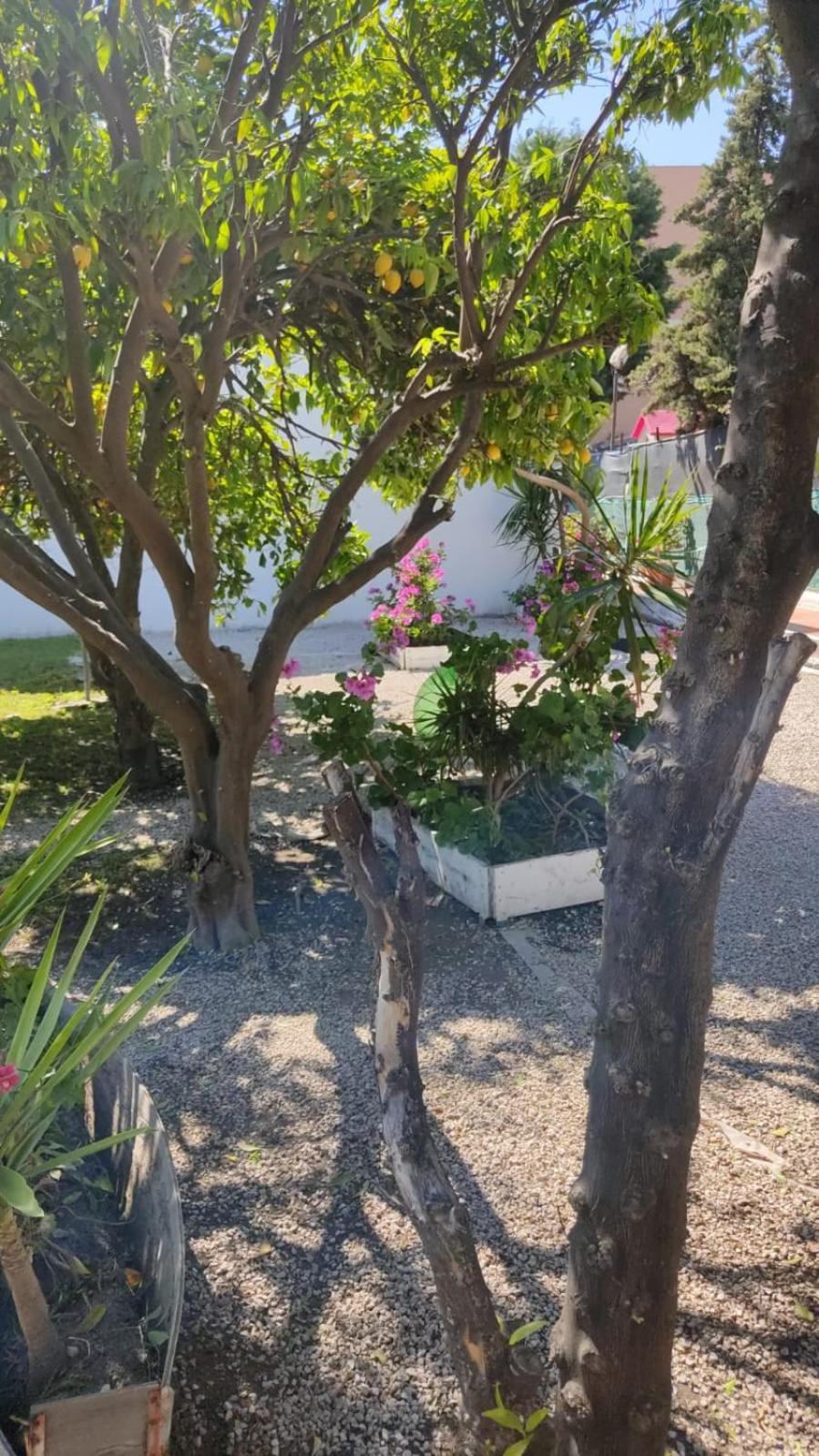 توري أنونزياتا Garden Green Da Virna المظهر الخارجي الصورة