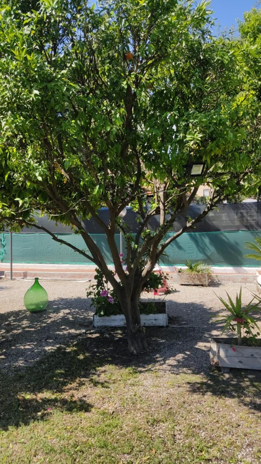 توري أنونزياتا Garden Green Da Virna المظهر الخارجي الصورة