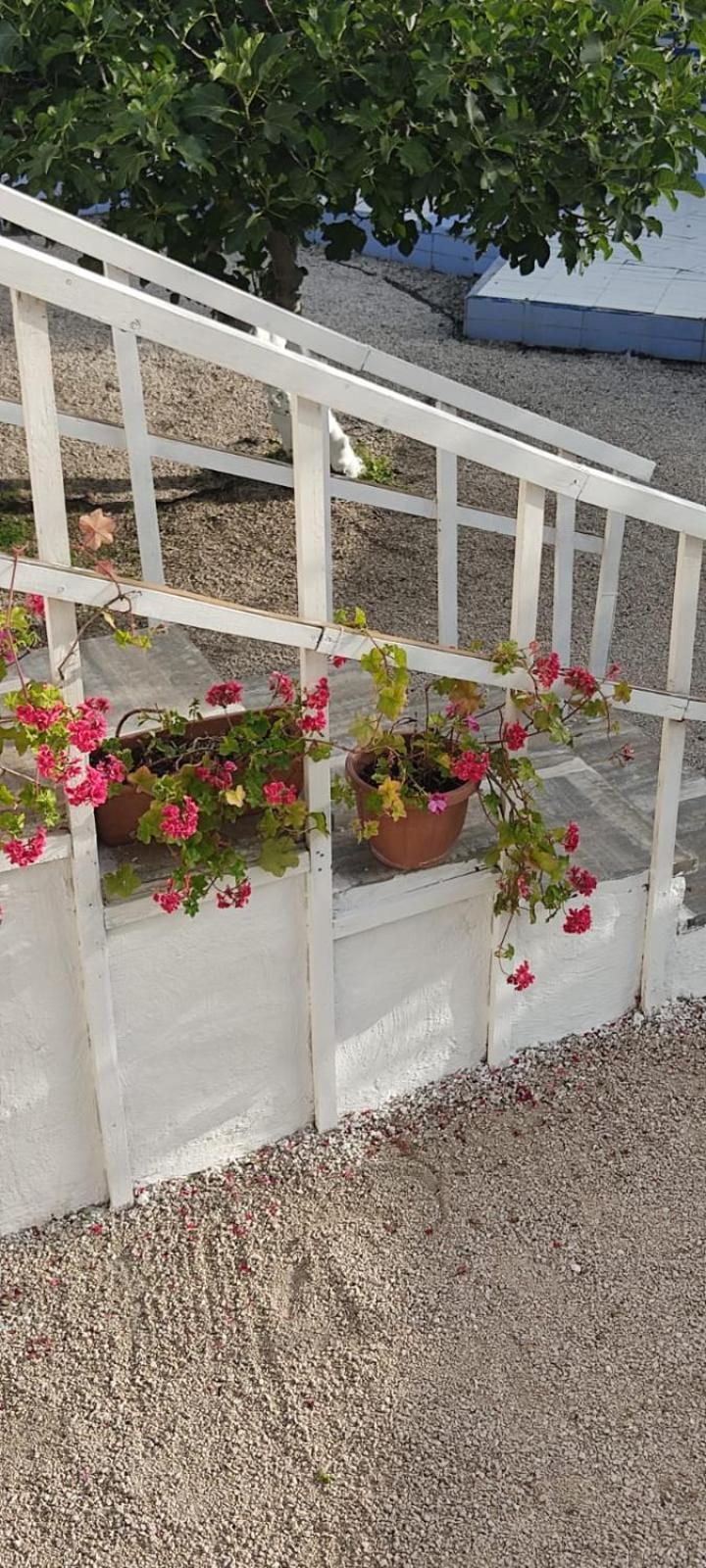 توري أنونزياتا Garden Green Da Virna المظهر الخارجي الصورة